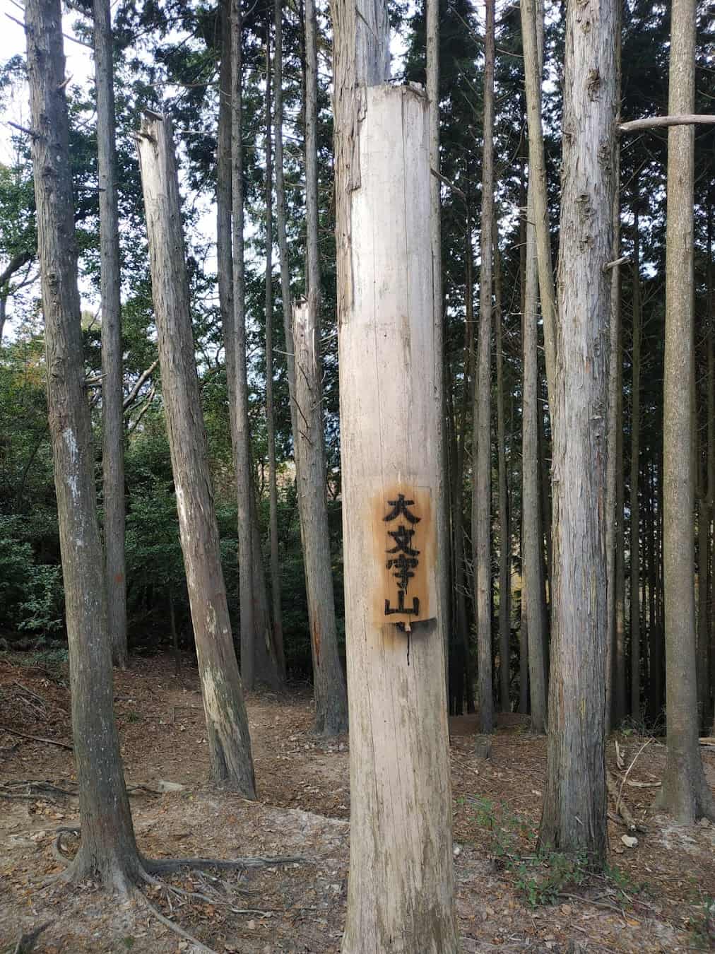 Daimonji Mountain Forest, Japan Daimonji Mountain Forest, Japan