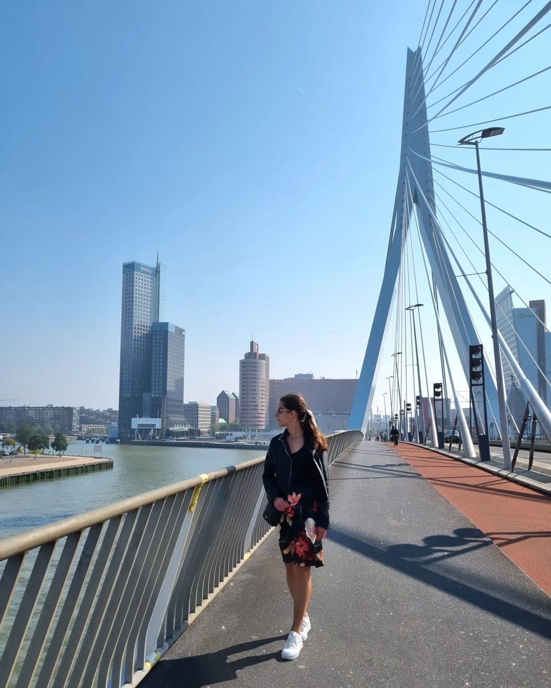 Erasmus Bridge Erasmus Bridge