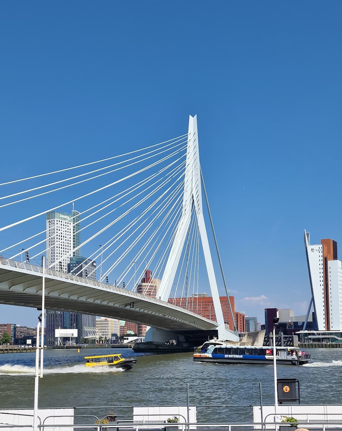 Erasmus Bridge Erasmus Bridge