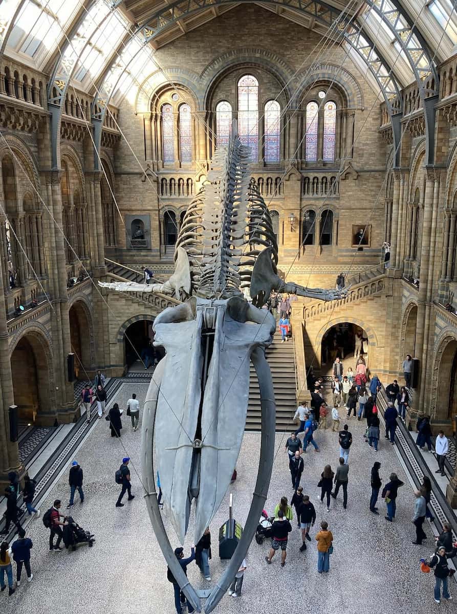 Natural History Museum, London Natural History Museum, London