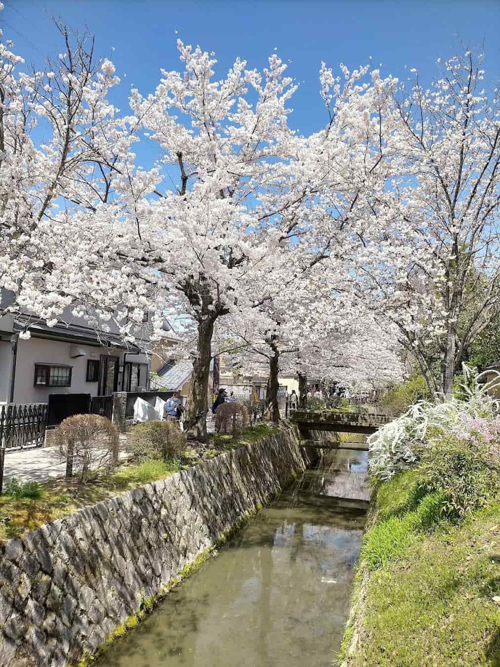 Philosopher's Path, Japan Philosopher's Path, Japan