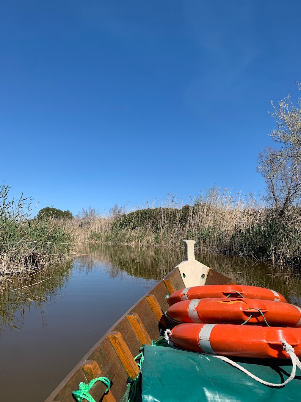 Albufera Natural Park Rent Boat, Spain Albufera Natural Park Rent Boat, Spain