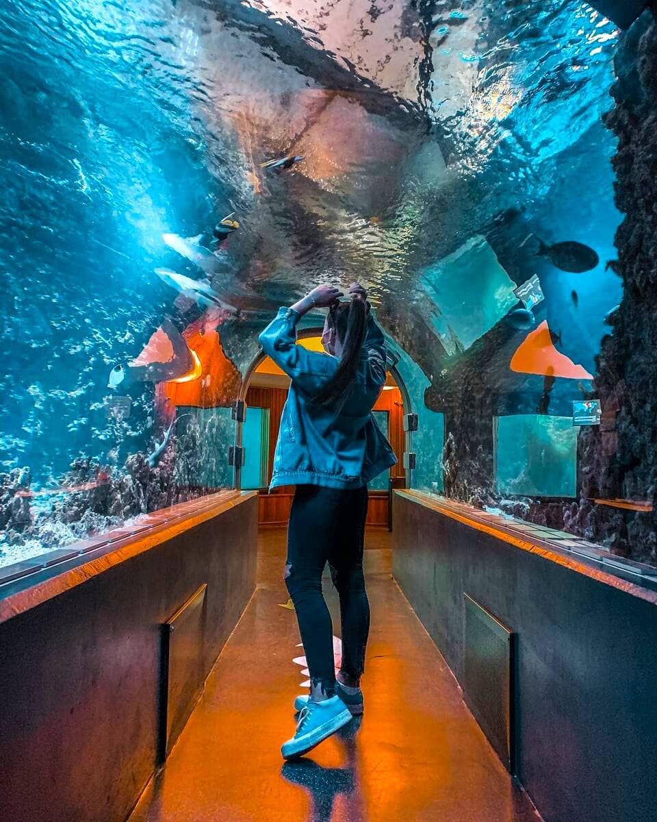 Aquarium, Bergen Aquarium, Bergen