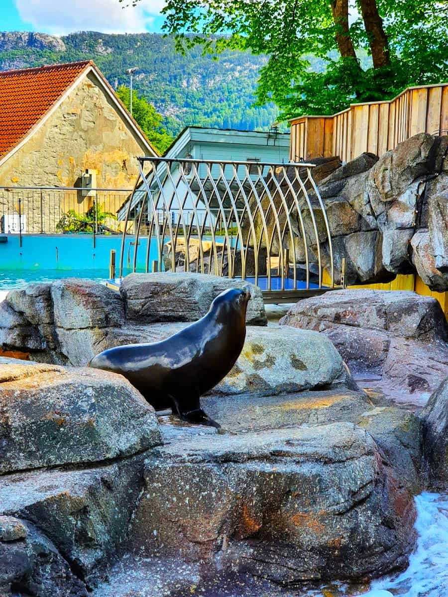 Aquarium, Bergen Aquarium, Bergen