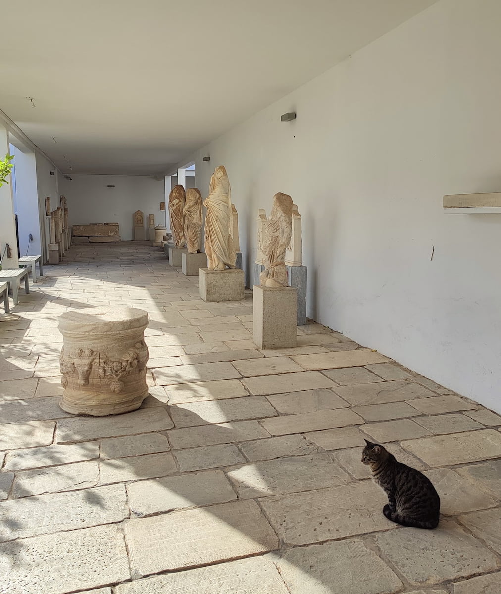 Archaeological Museum of Mykonos Archaeological Museum of Mykonos
