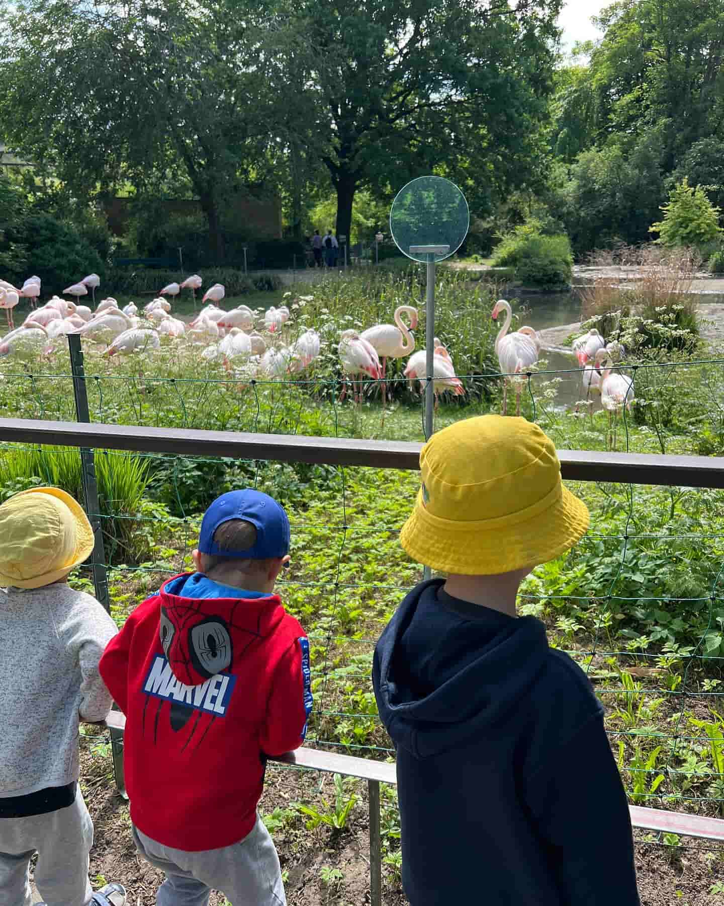 Basel Zoo Basel Zoo