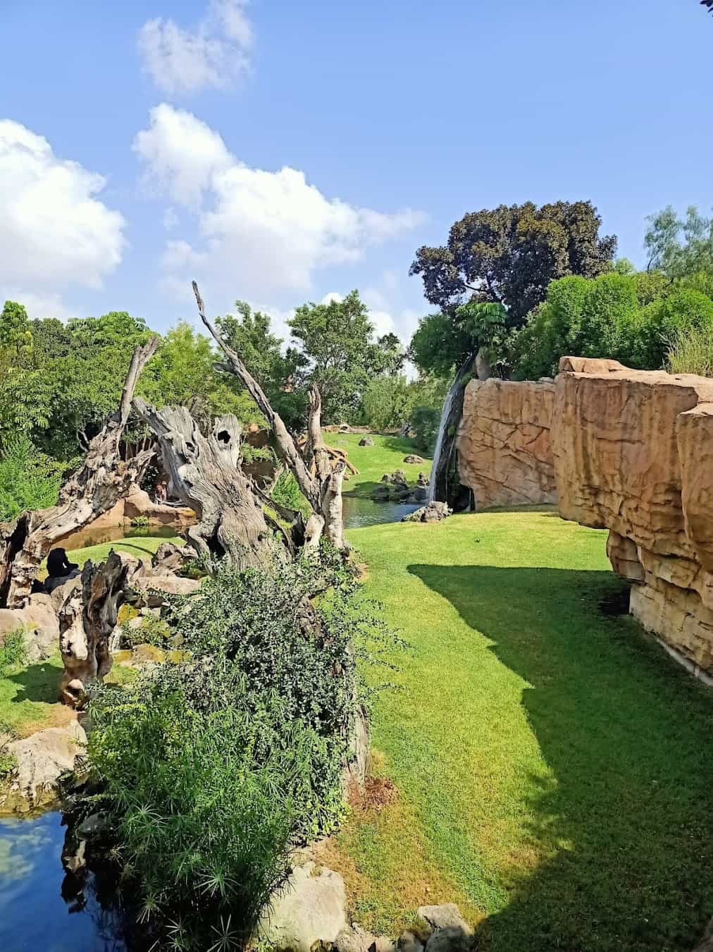 Bioparc Valencia, Spain Bioparc Valencia, Spain