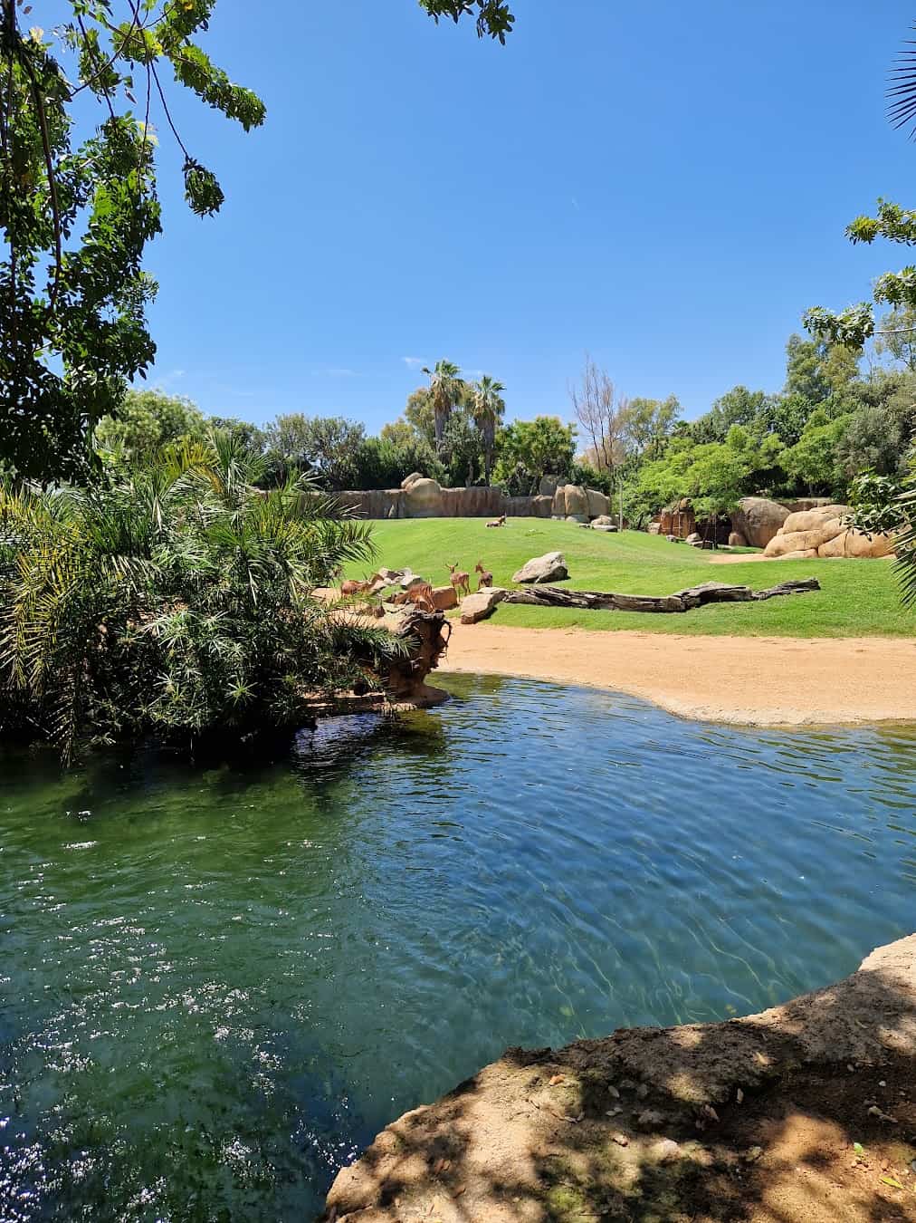 Bioparc Valencia,Spain Bioparc Valencia,Spain