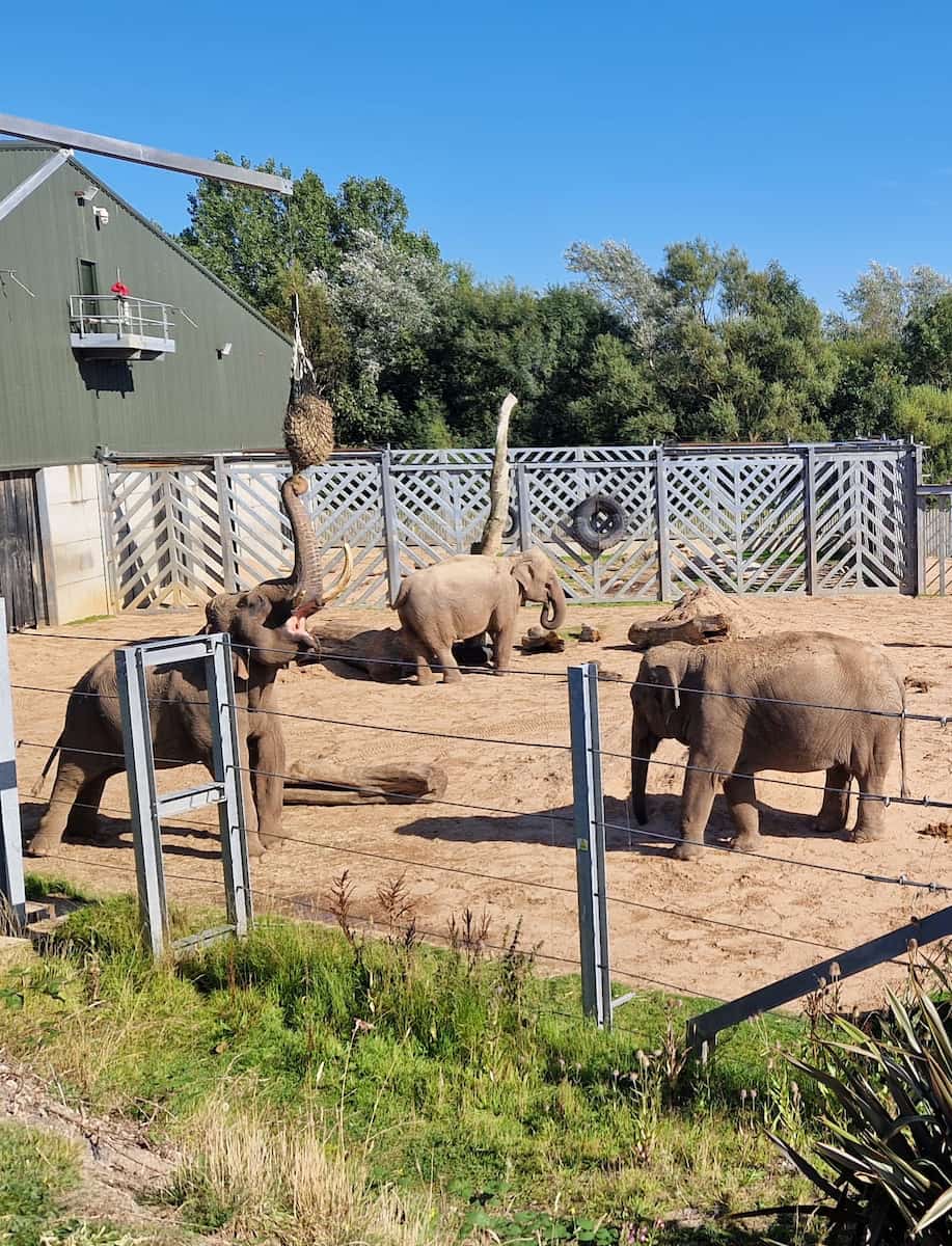 Blackpool Zoo Blackpool Zoo