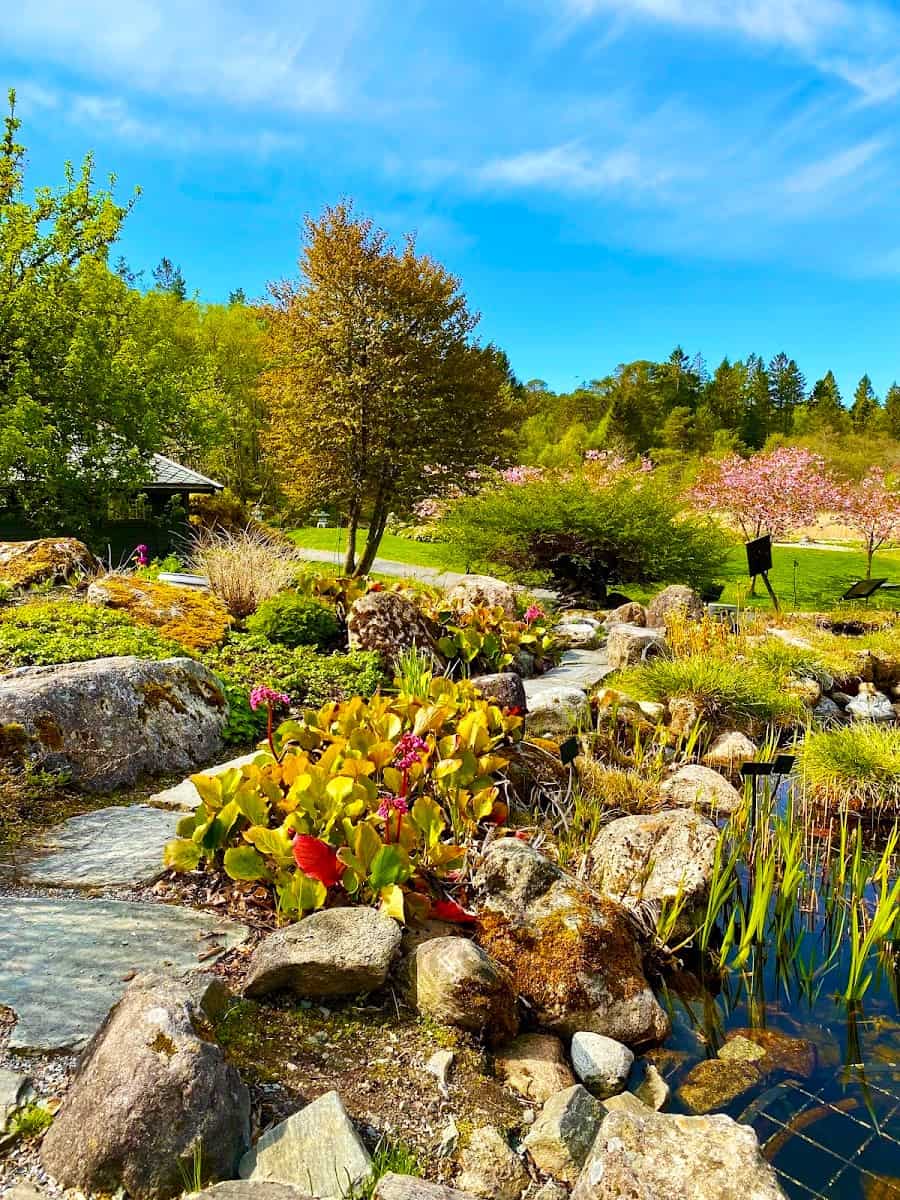 Botanical Garden, Bergen Botanical Garden, Bergen