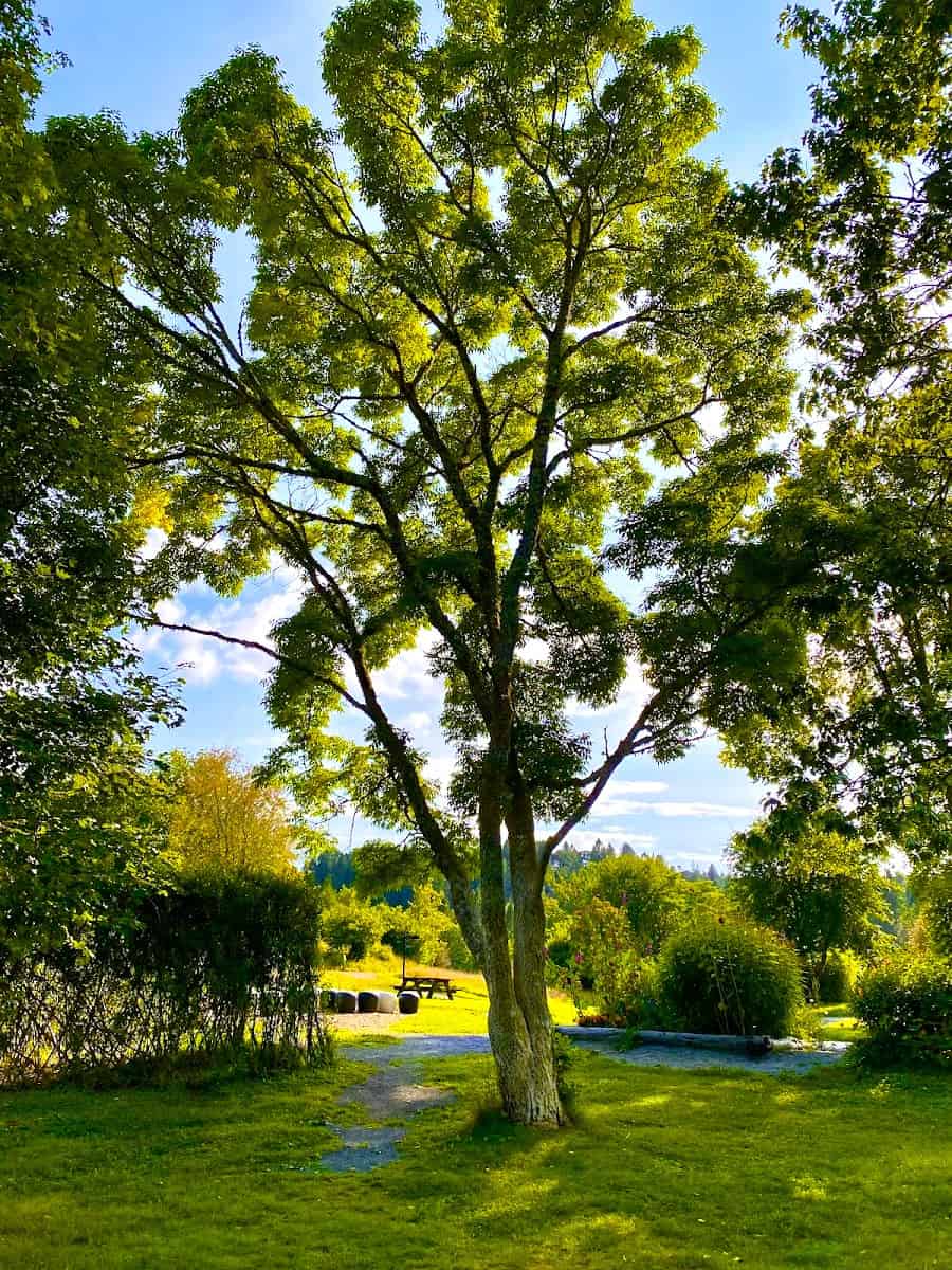 Botanical Garden, Bergen Botanical Garden, Bergen