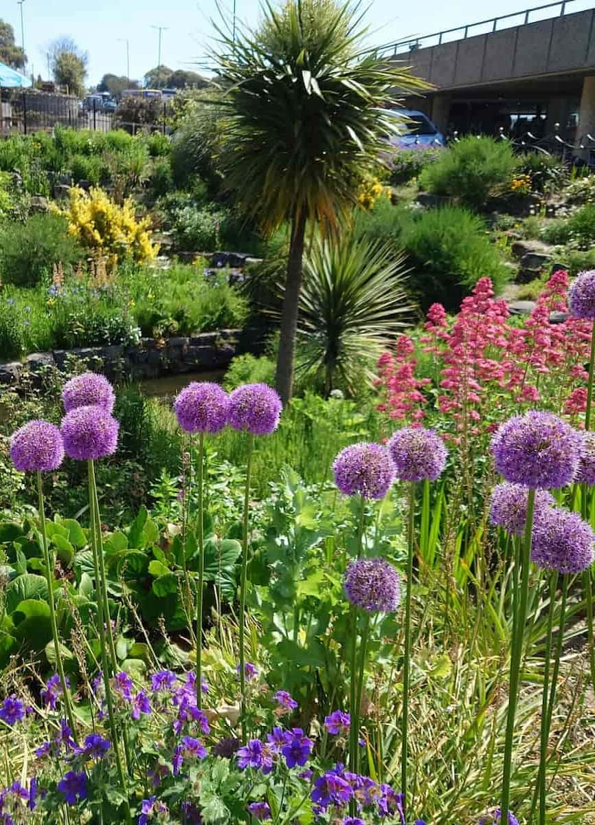 Bournemouth Gardens Spring Bournemouth Gardens Spring