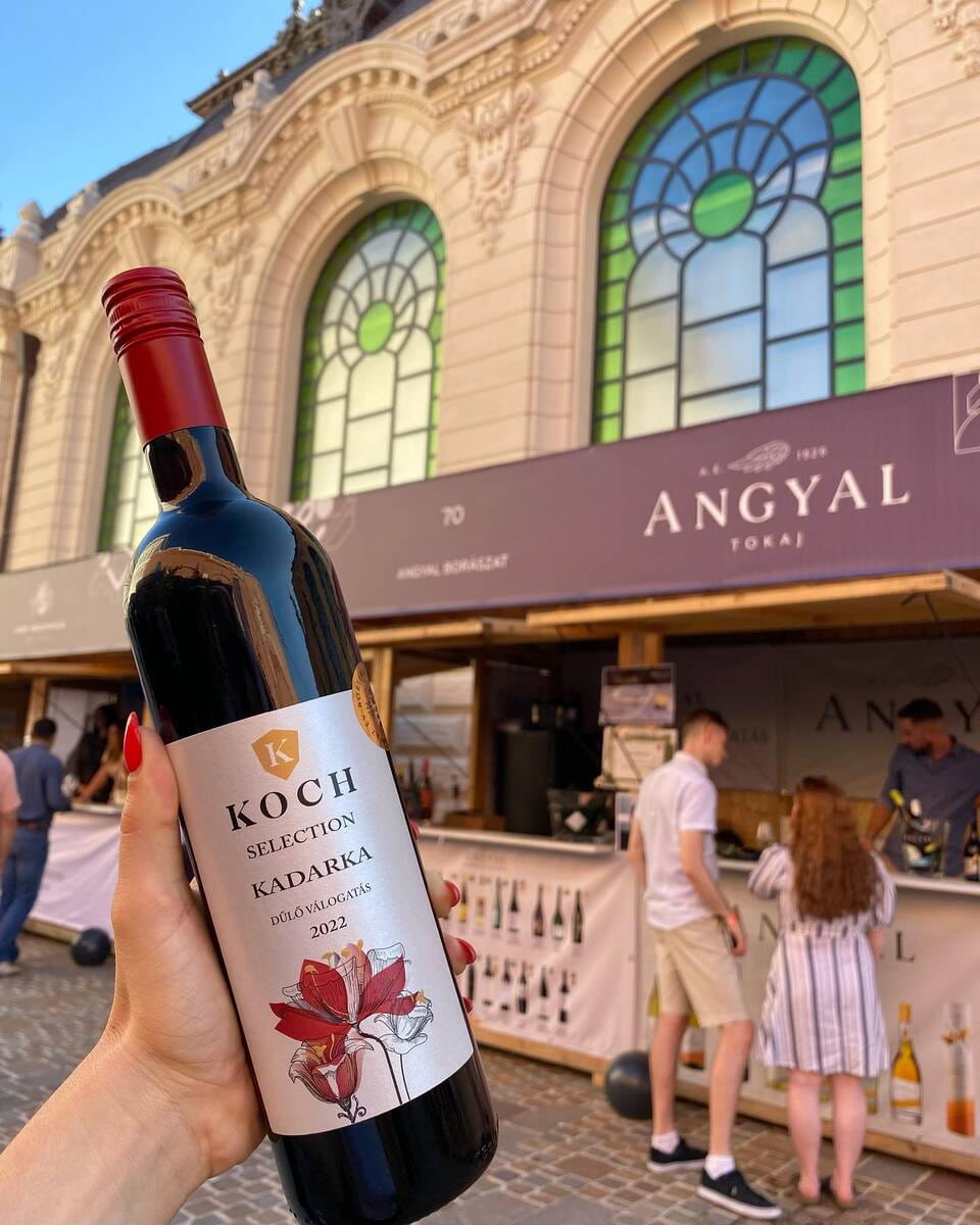 Budapest Wine Festival, Budapest Budapest Wine Festival, Budapest