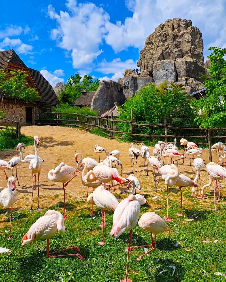 Budapest Zoo, Budapest Budapest Zoo, Budapest