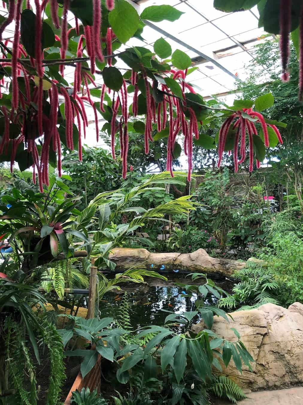 Butterfly Park Inside, Spain Butterfly Park Inside, Spain