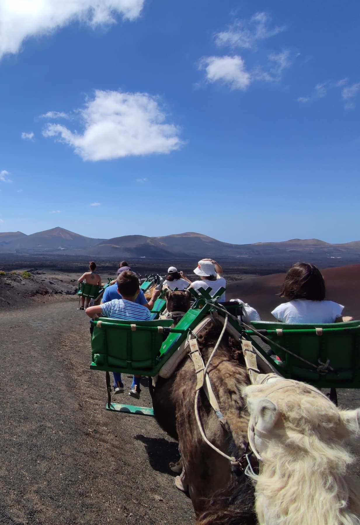 Camel Ride, Lanzarote Camel Ride, Lanzarote
