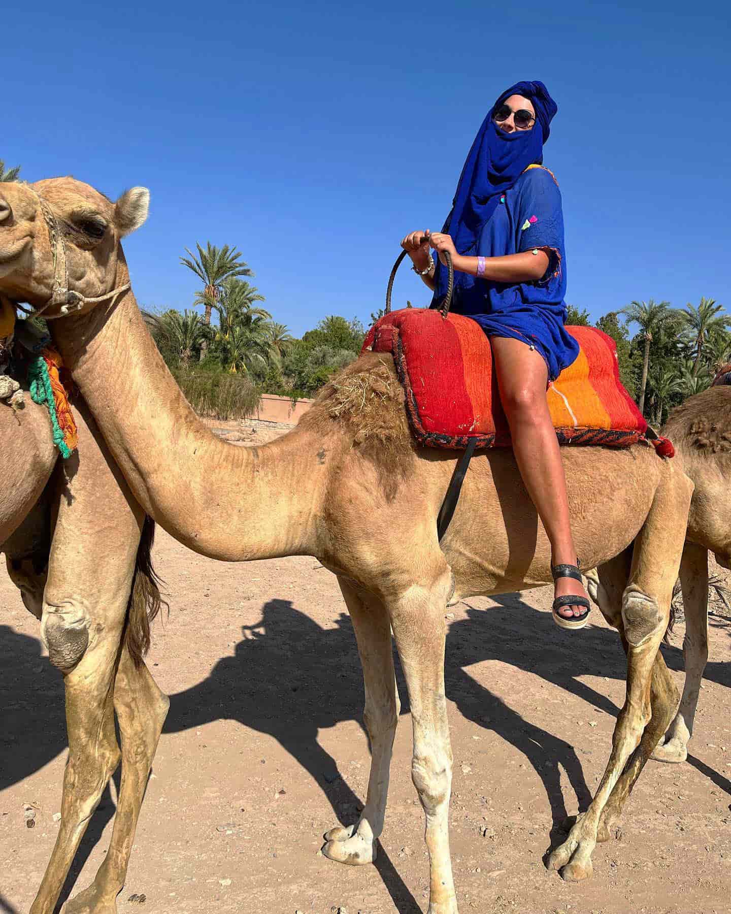 Camel Rides, Marrakech Camel Rides, Marrakech