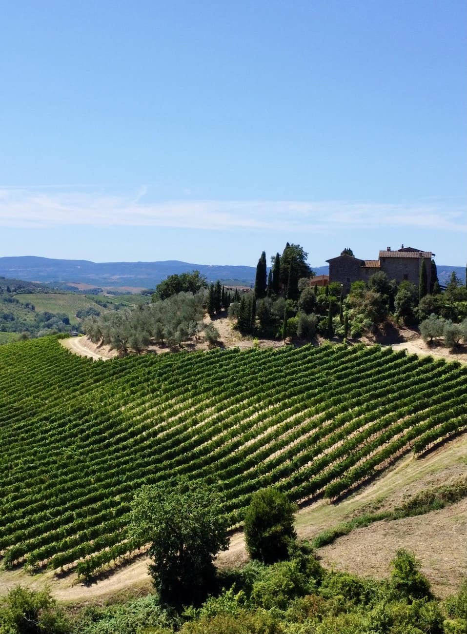 Chianti wine region, Florence Chianti wine region, Florence