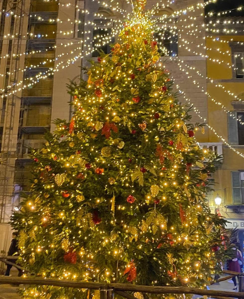 Christmas in Pisa Christmas in Pisa