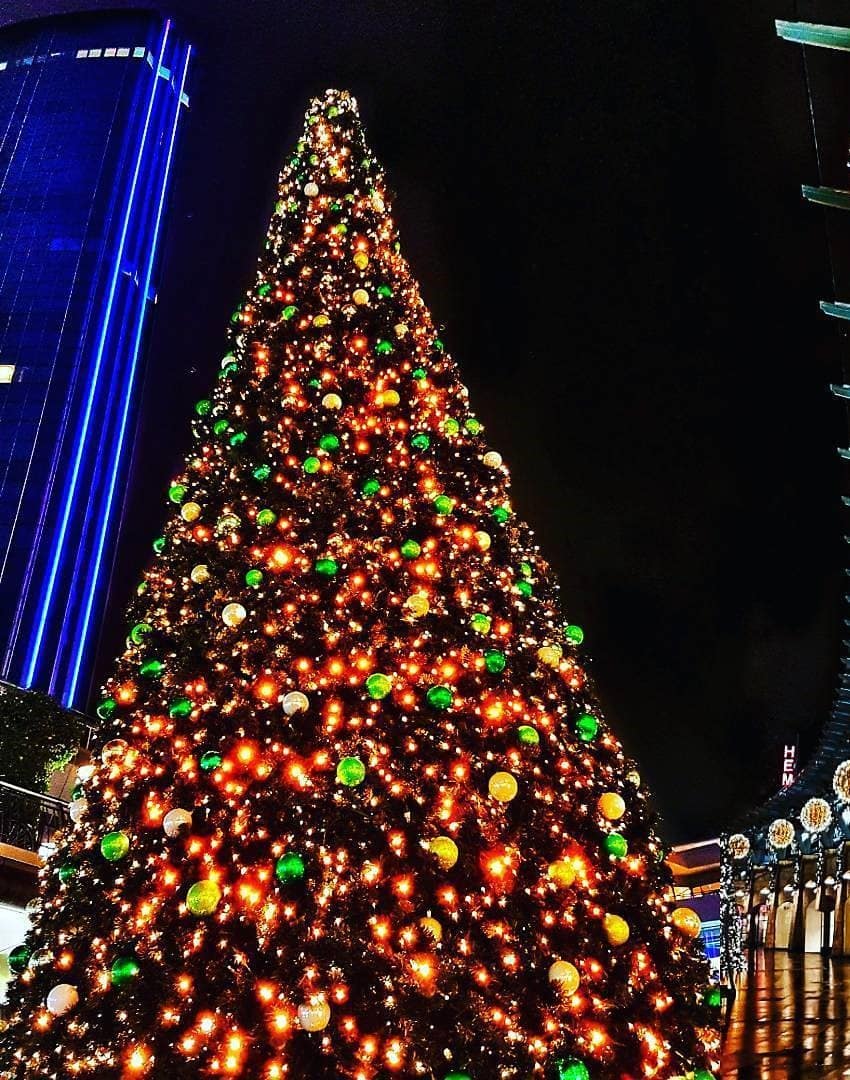 Christmas in Rotterdam Christmas in Rotterdam