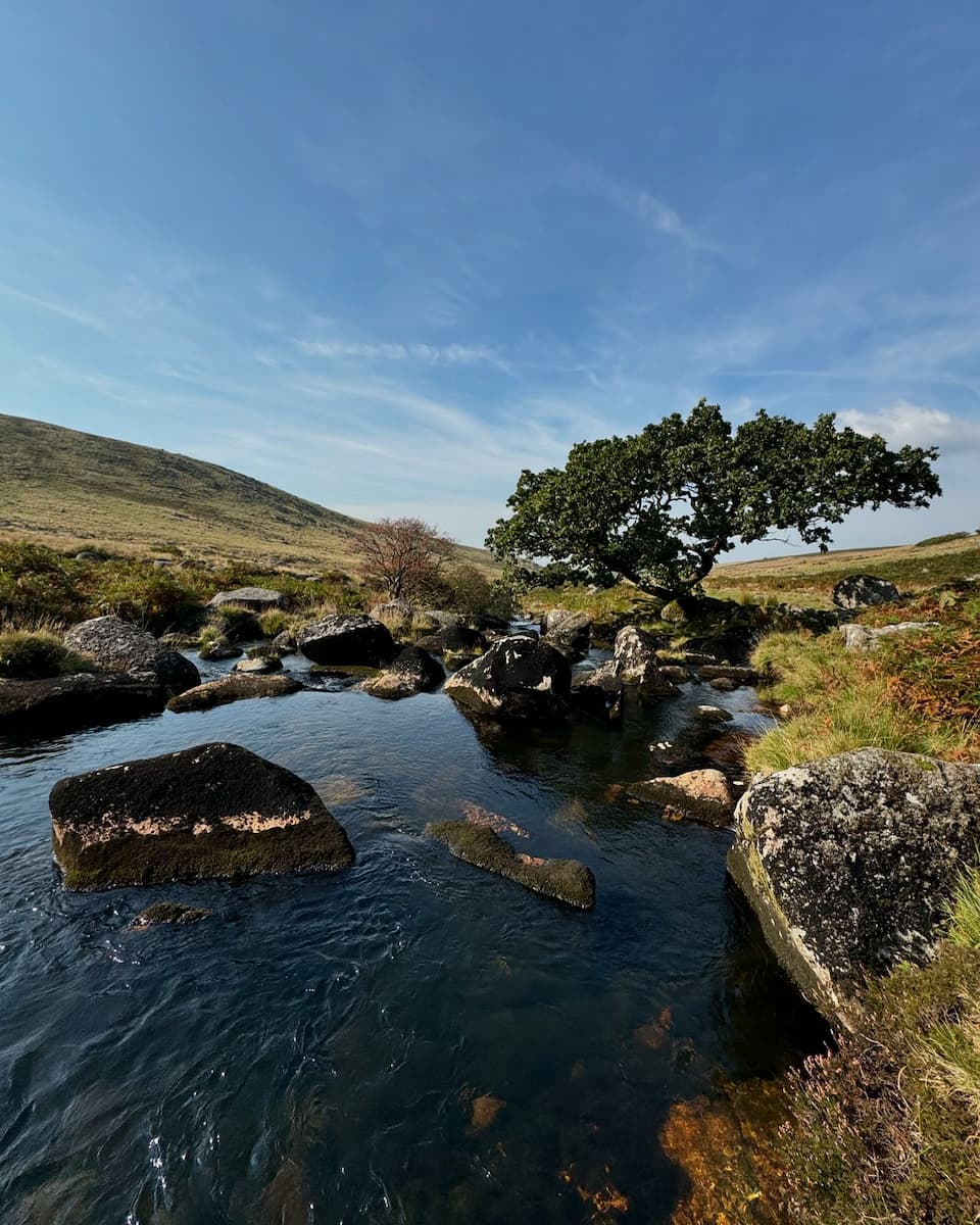 Cornwall, Dartmoor National Park Cornwall, Dartmoor National Park