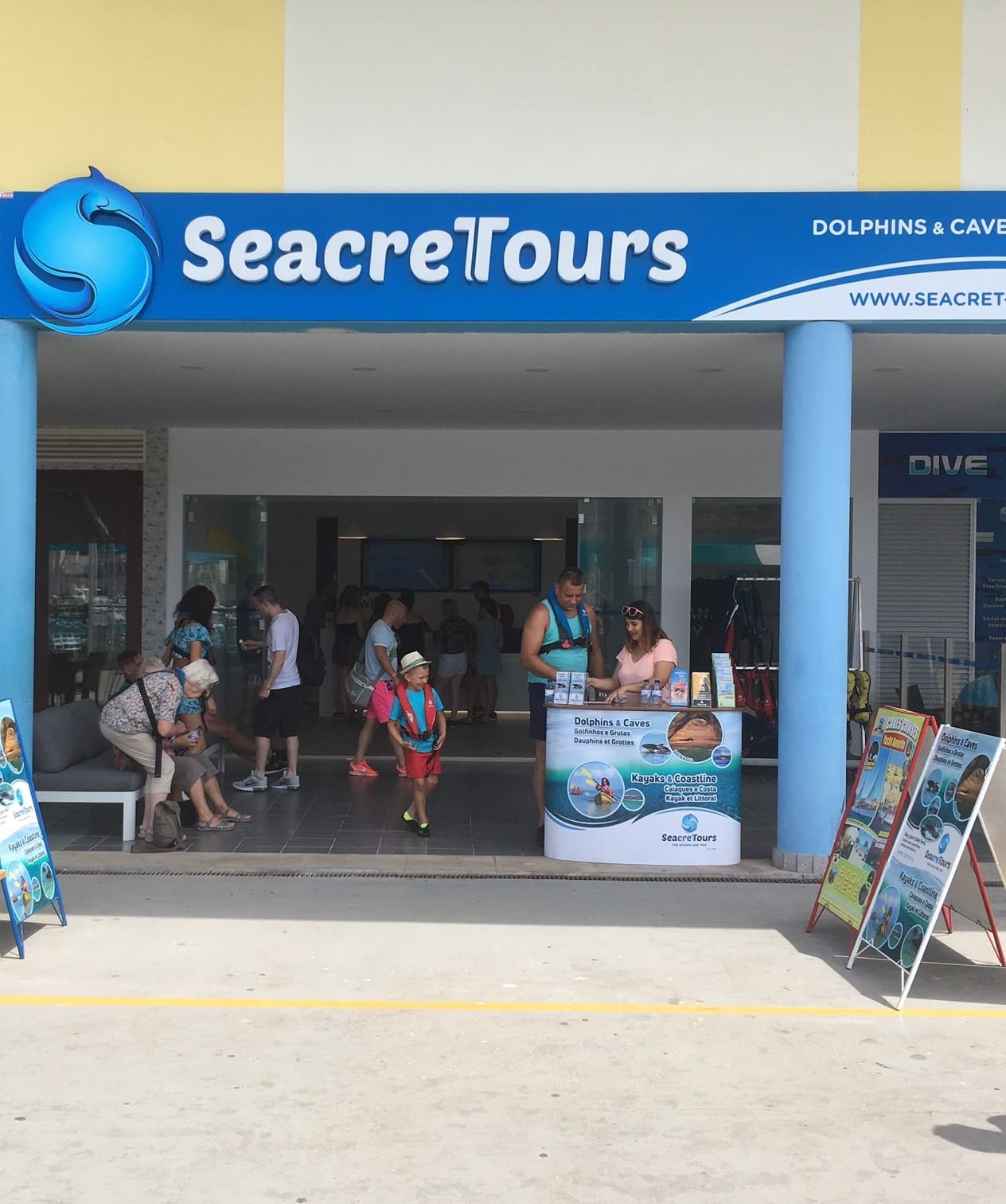 Dolphin Watching Dolphin Watching