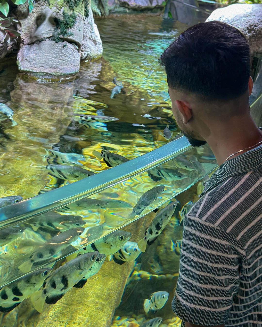 Dubai Aquarium Dubai Aquarium