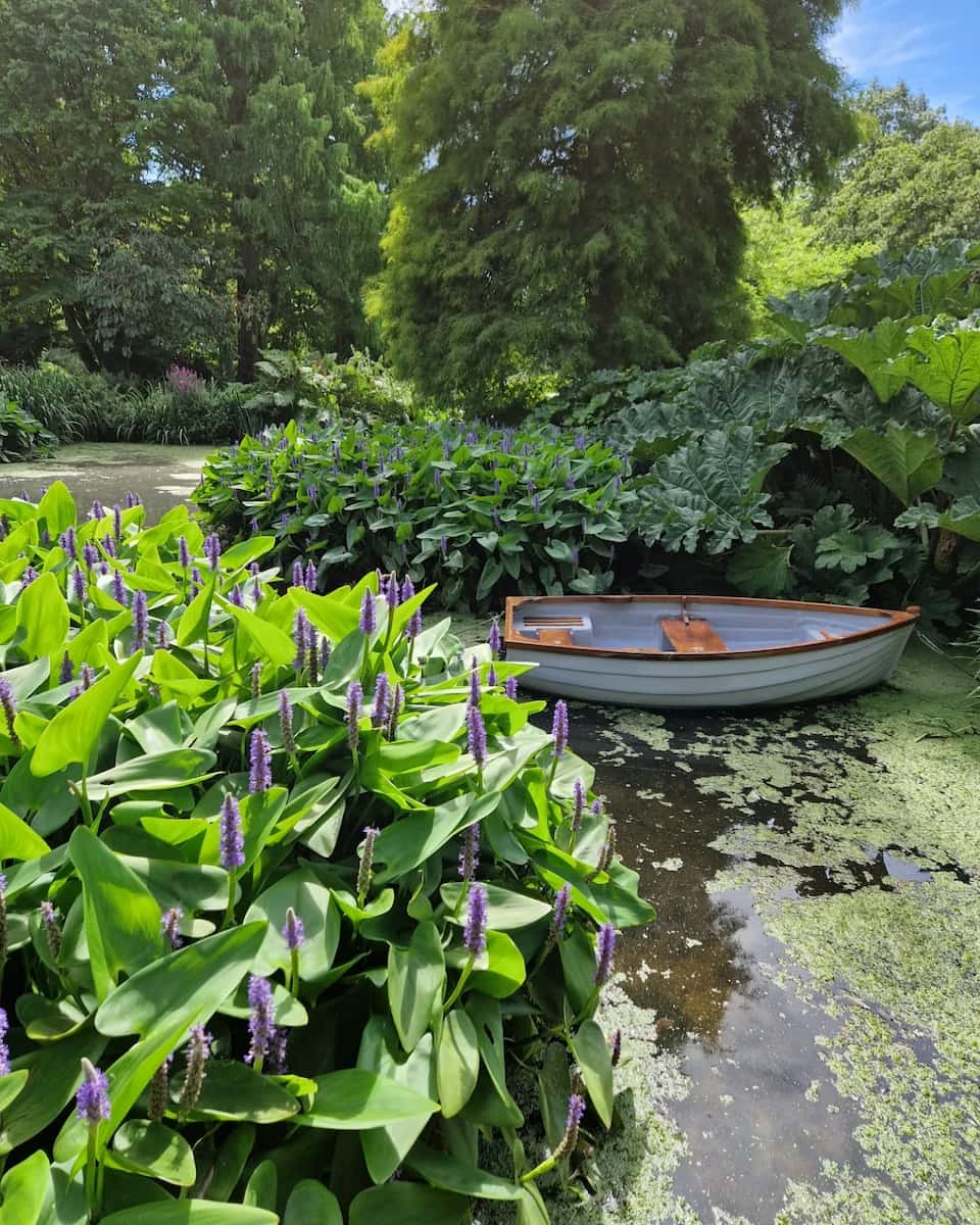 Essex: Beth Chatto Gardens Essex: Beth Chatto Gardens