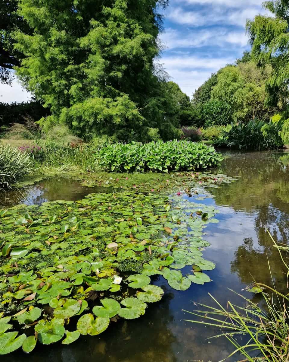 Essex: Beth Chatto Gardens Essex: Beth Chatto Gardens