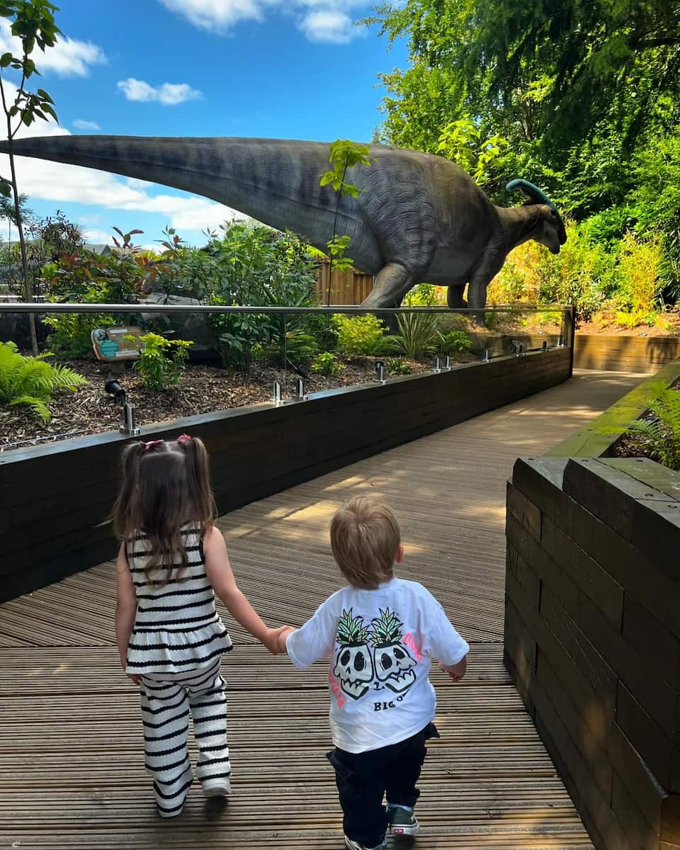 Essex: Colchester Zoo Essex: Colchester Zoo