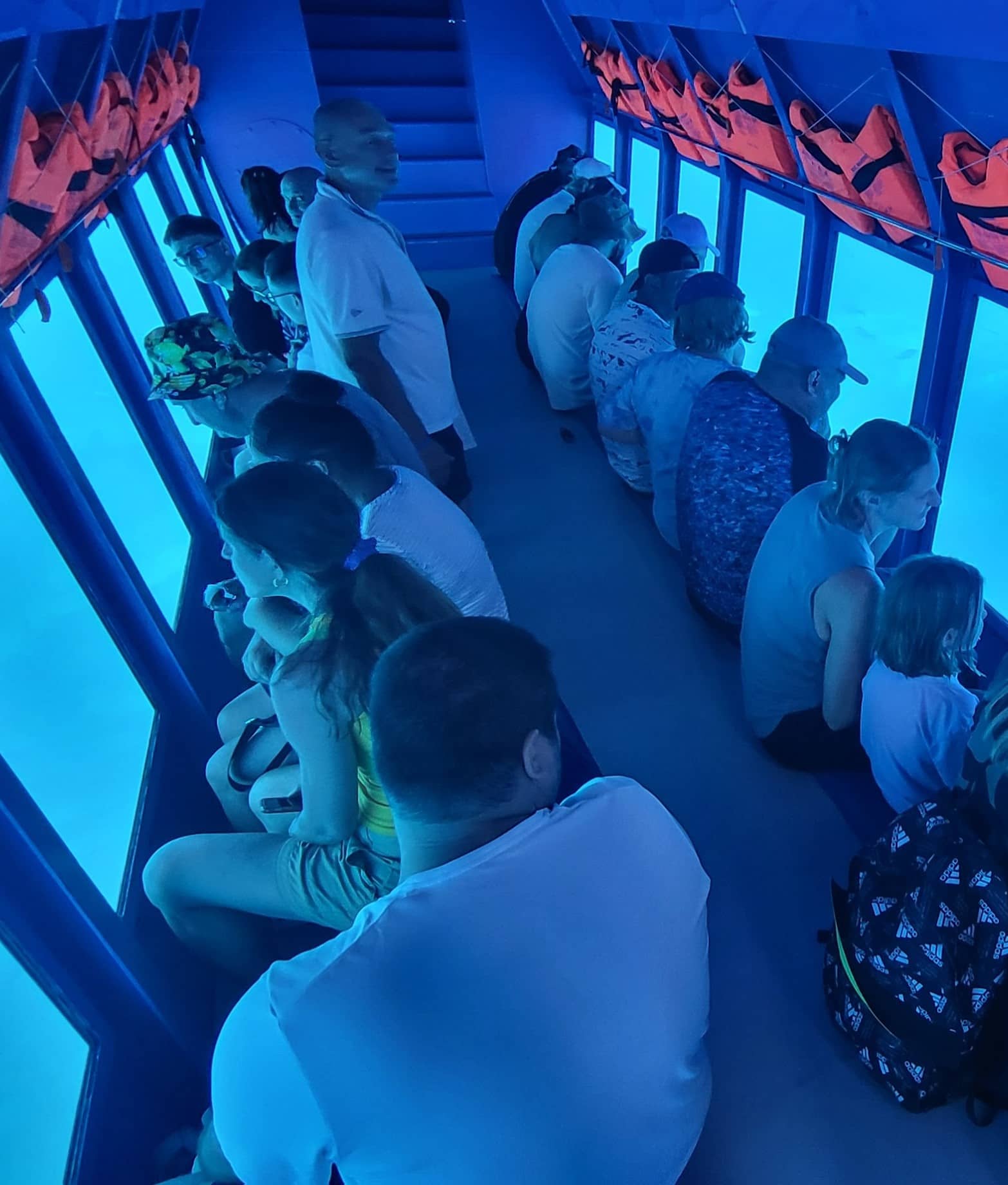 Glass-Bottom Boat Tours Glass-Bottom Boat Tours