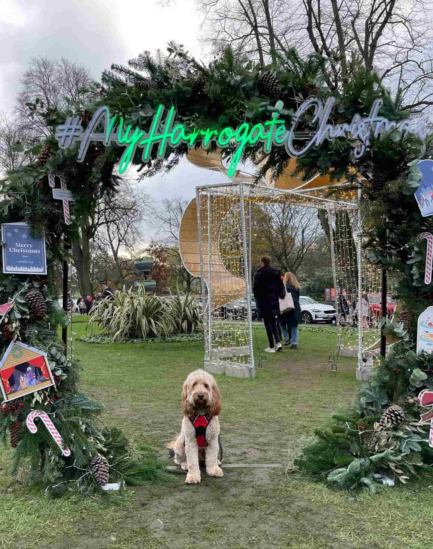 Harrogate Christmas Harrogate Christmas