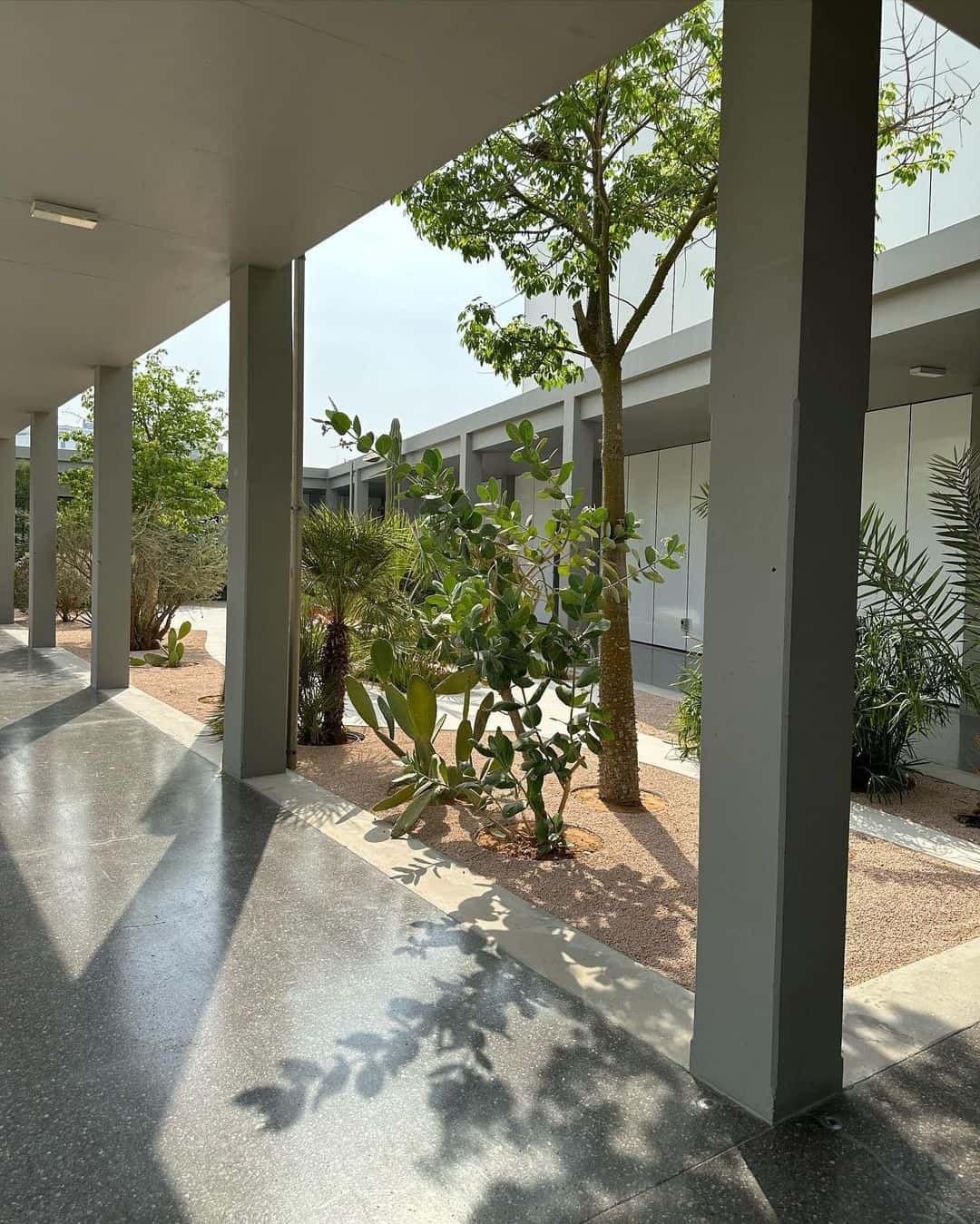 Jameel Arts Centre Vegetation, Dubai Jameel Arts Centre Vegetation, Dubai