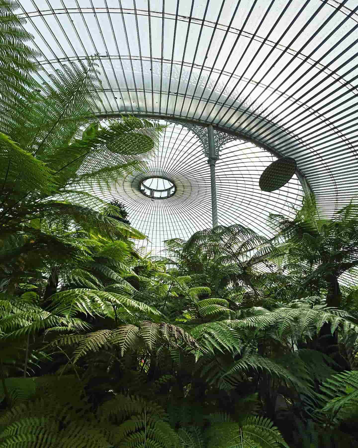 Kibble Palace, Glasgow Kibble Palace, Glasgow