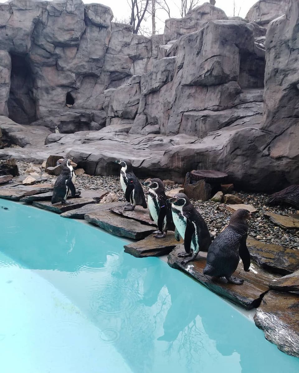 Krakow Zoo Krakow Zoo