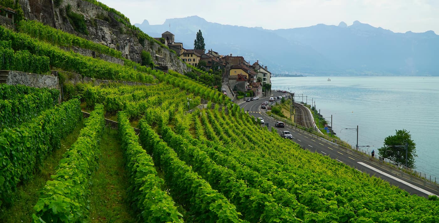 Lavaux Vineyards Lavaux Vineyards