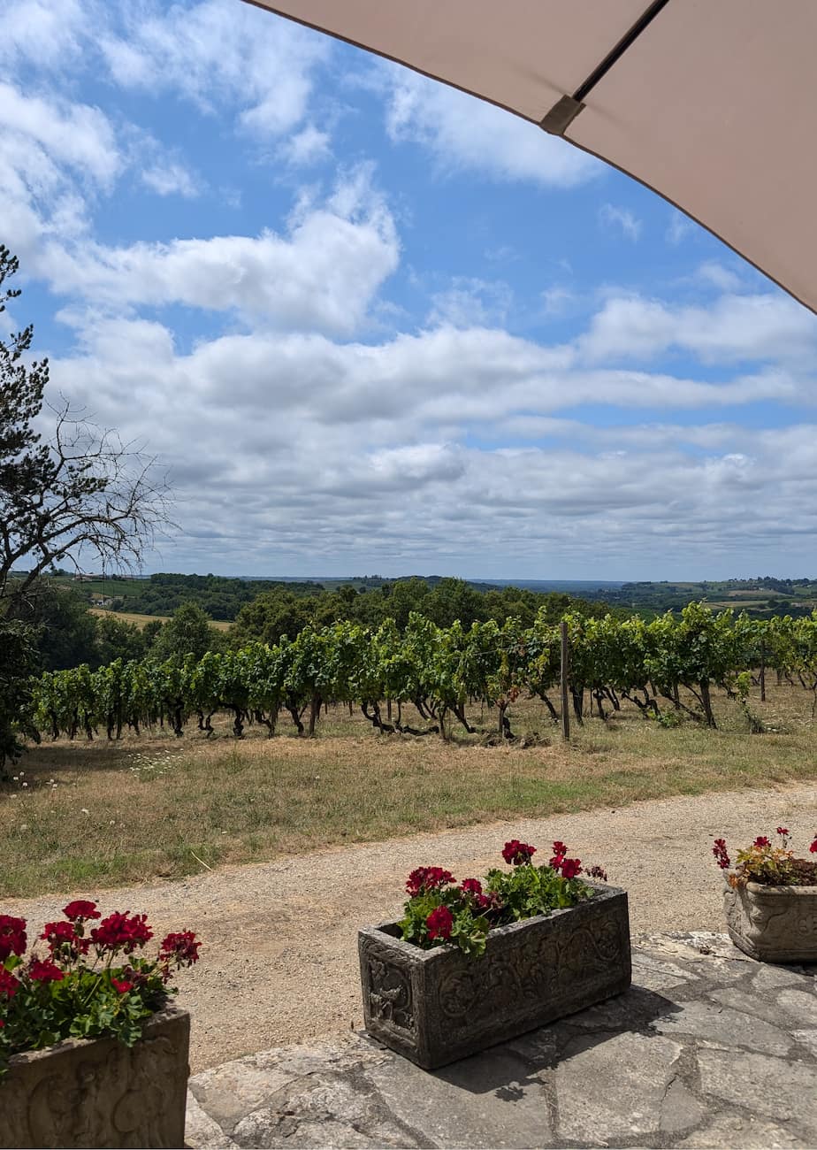 Médoc Wine Region Médoc Wine Region