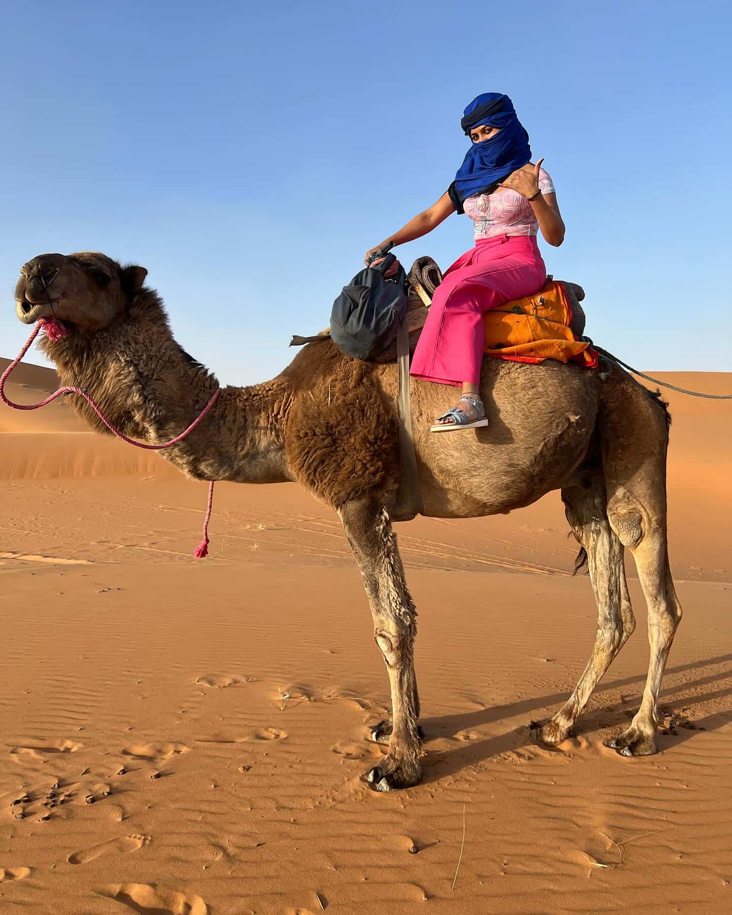 Merzouga Desert Ride Camel Merzouga Desert Ride Camel