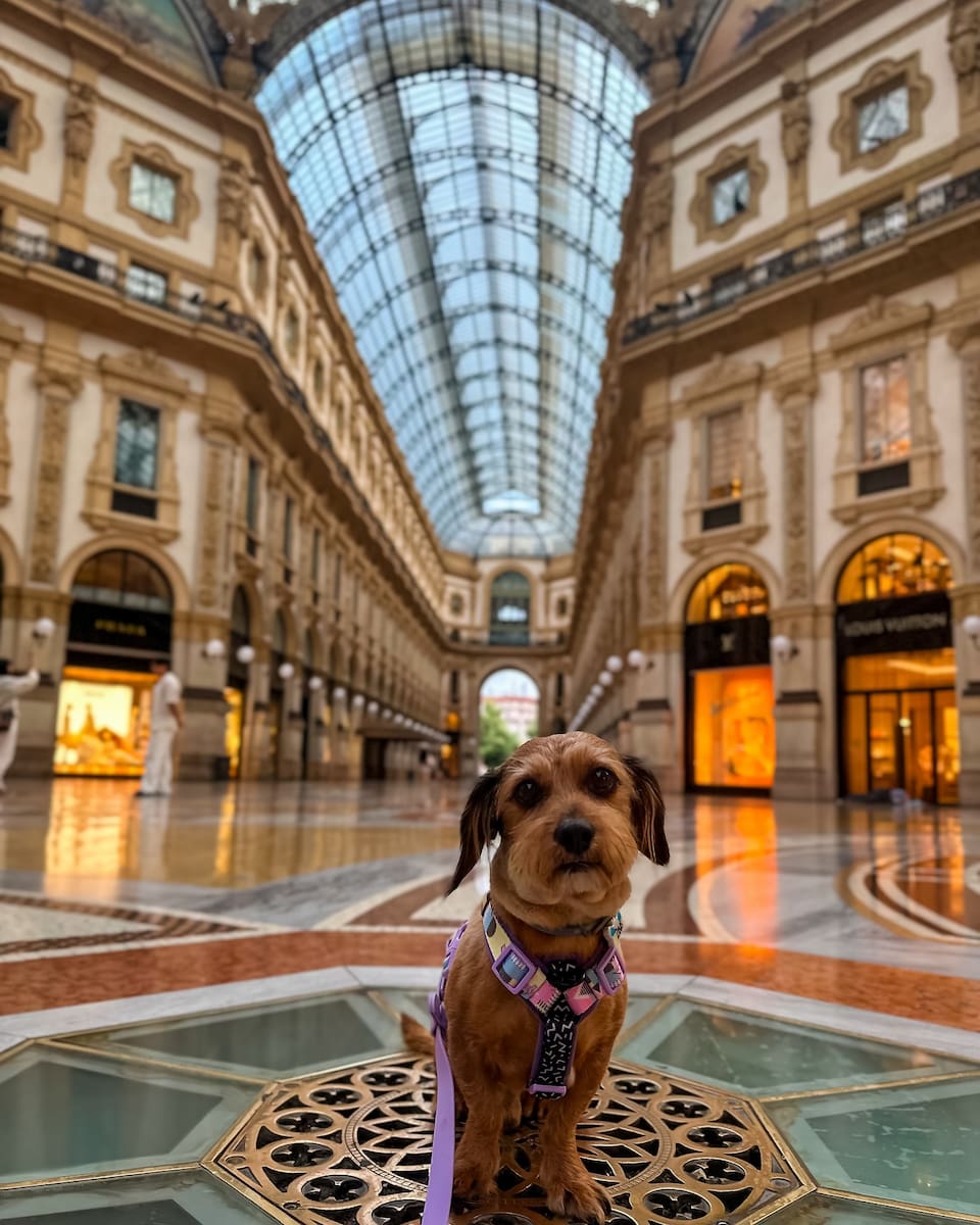 Milan, Galleria Vittorio Emanuele II Milan, Galleria Vittorio Emanuele II