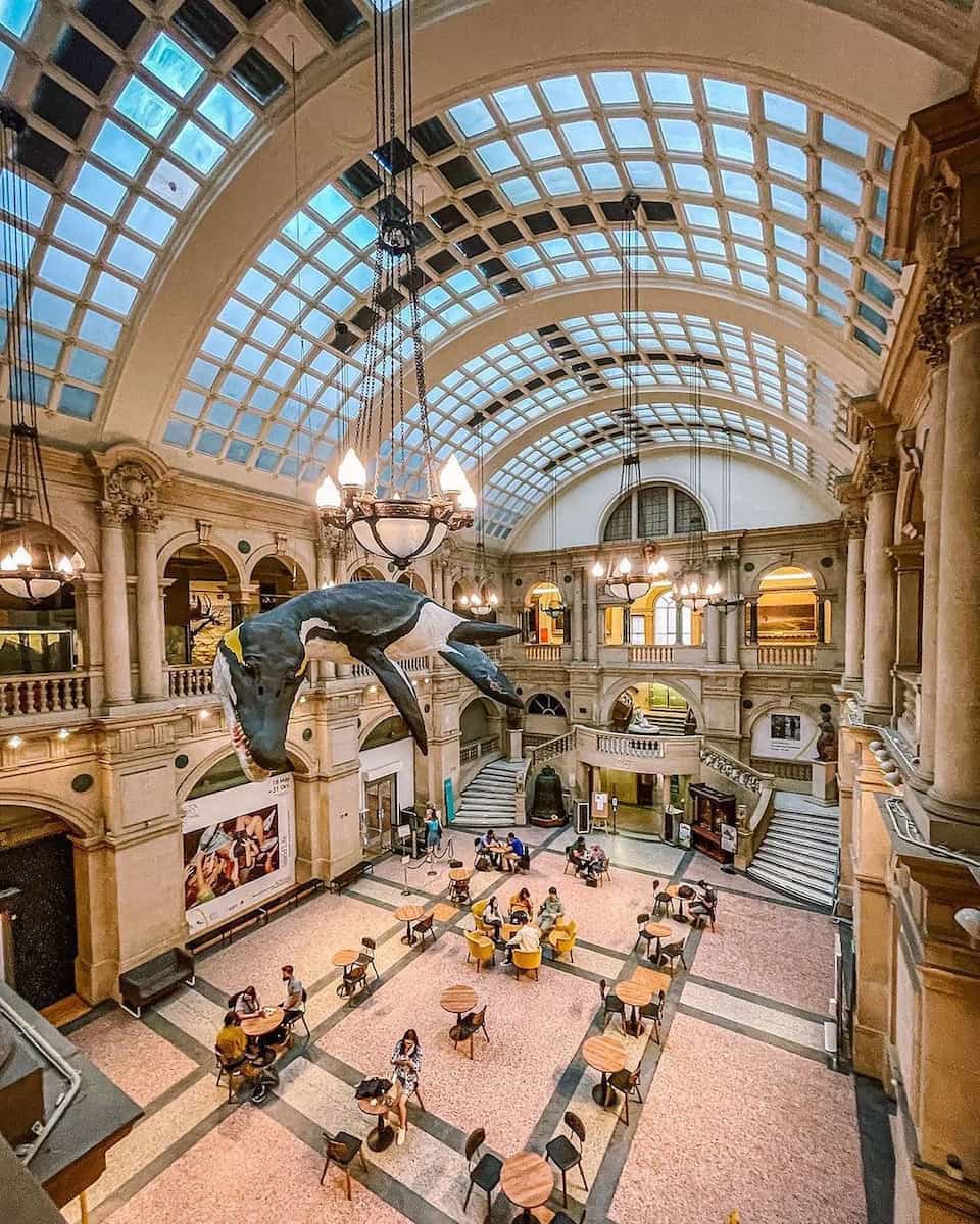 Museum and Art Gallery Museum and Art Gallery