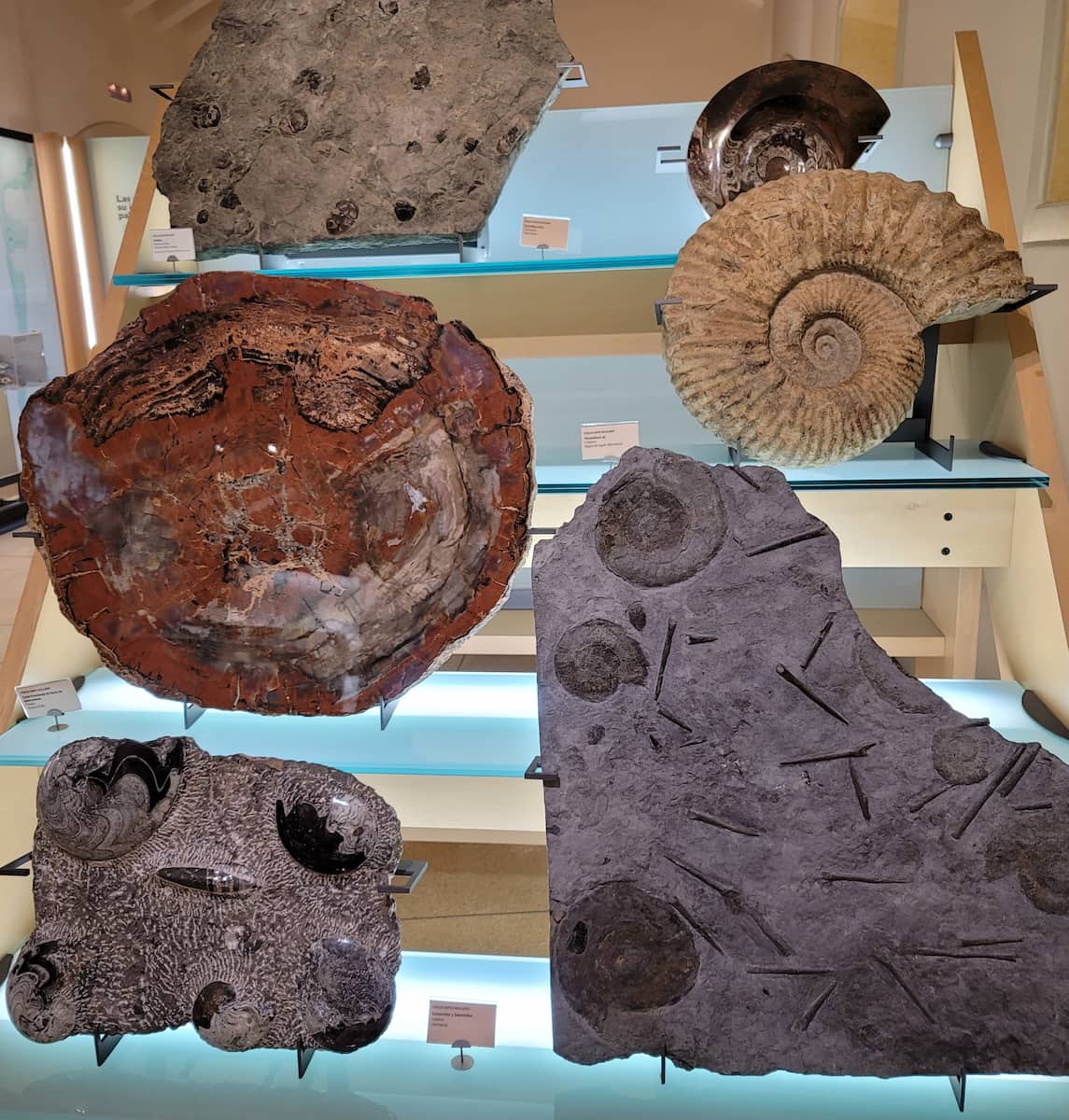 Museum of Nature and Man, Tenerife Museum of Nature and Man, Tenerife