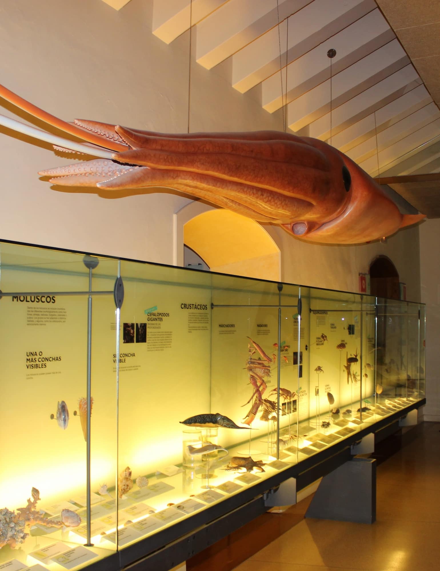 Museum of Nature and Man, Tenerife Museum of Nature and Man, Tenerife