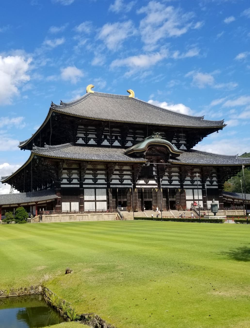 Nara Nara