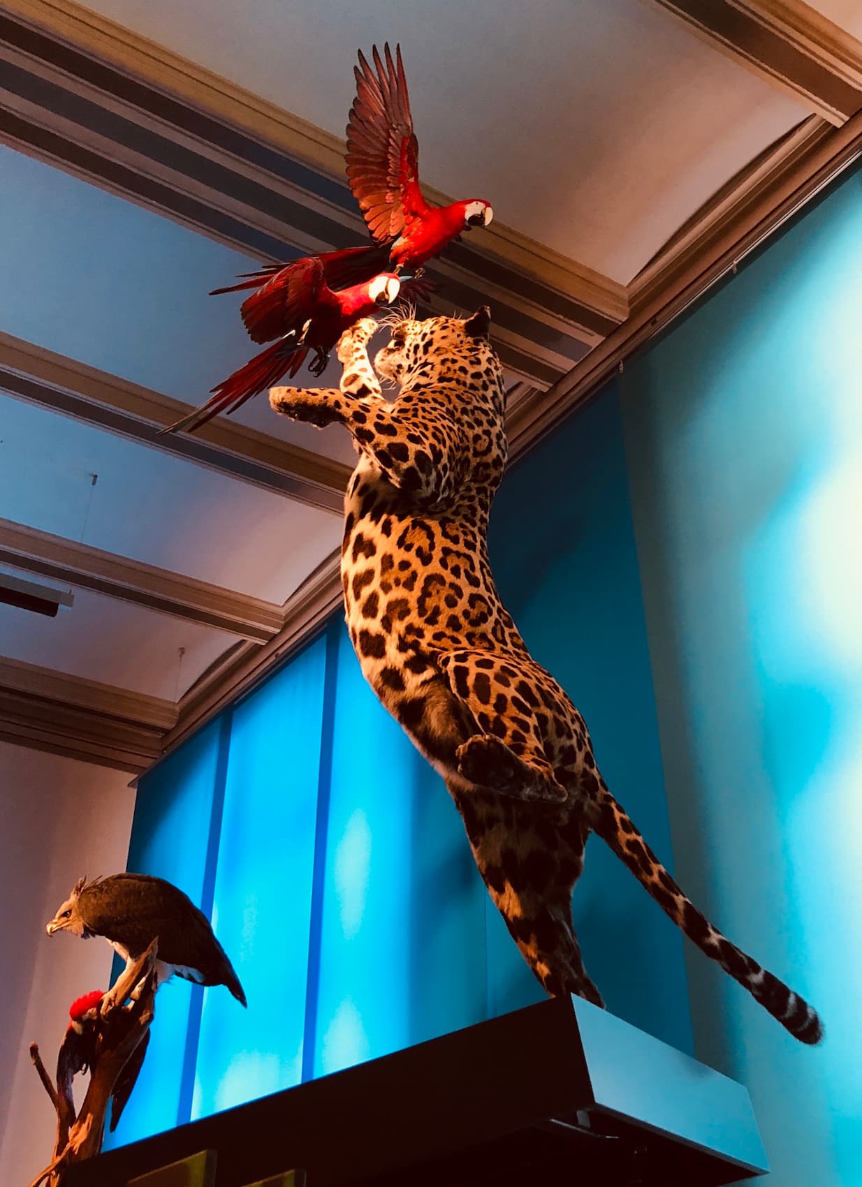 Natural History Museum, Berlin Natural History Museum, Berlin