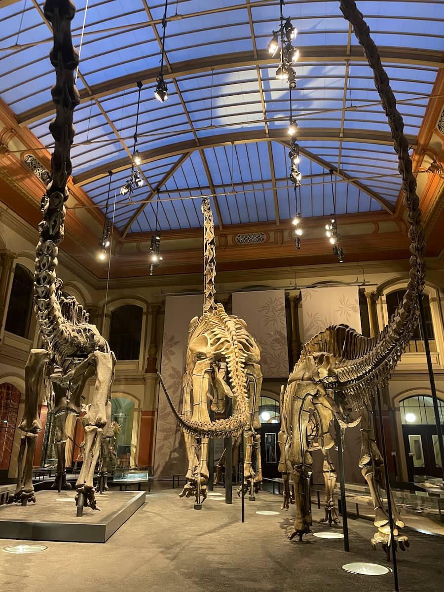 Natural History Museum, Berlin Natural History Museum, Berlin