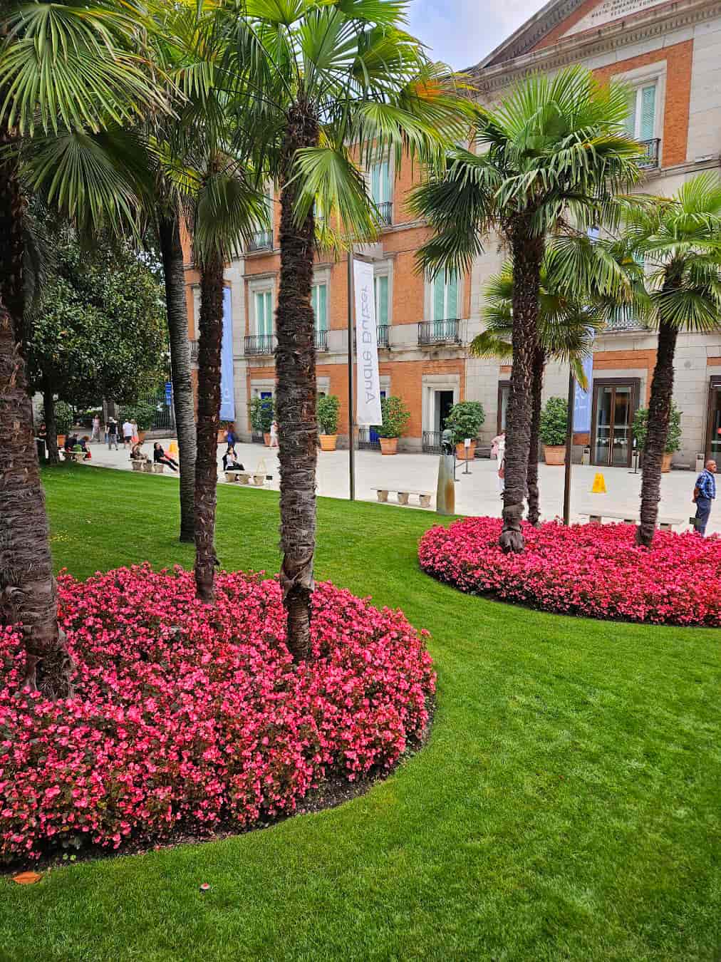 Palm Near Museum, Spain Palm Near Museum, Spain