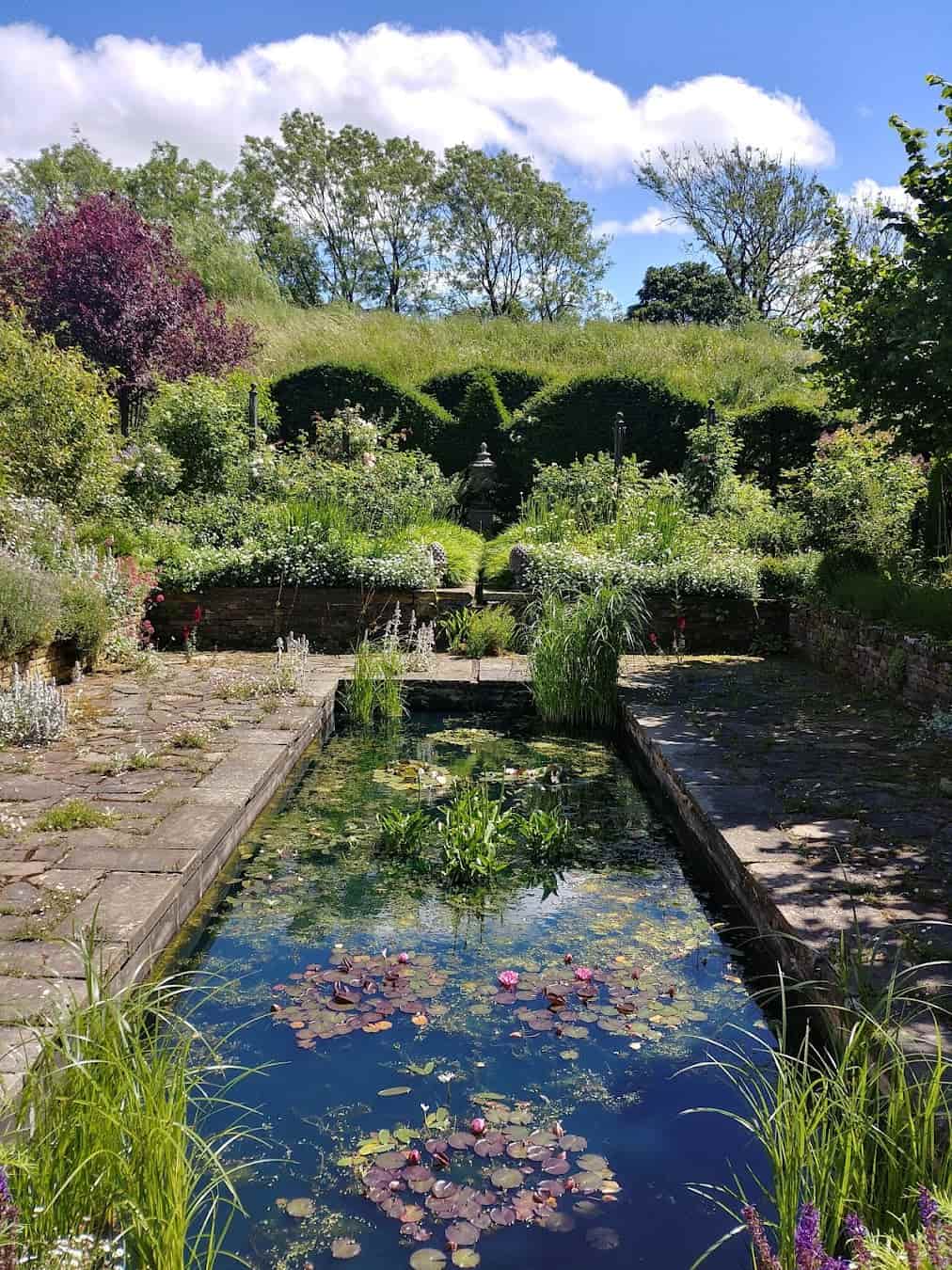 RHS Garden Harlow Carr Pond, England RHS Garden Harlow Carr Pond, England