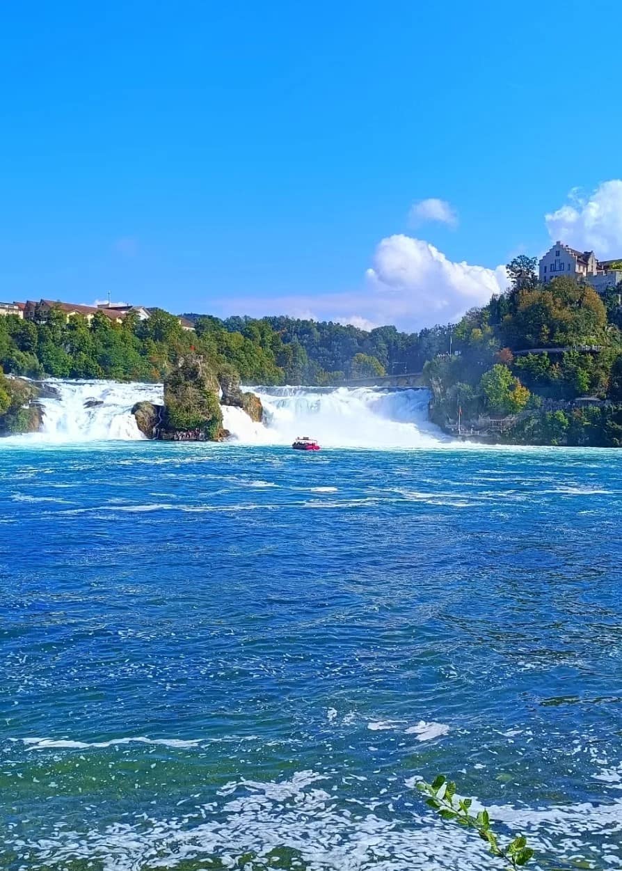 Rhine Falls, Zurich Rhine Falls, Zurich