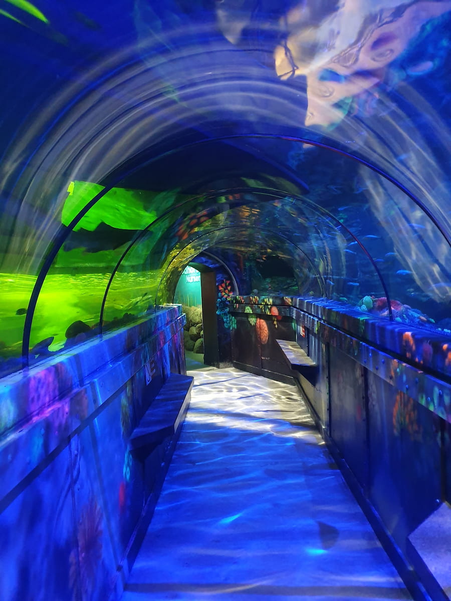 Sea Life Brighton Sea Life Brighton