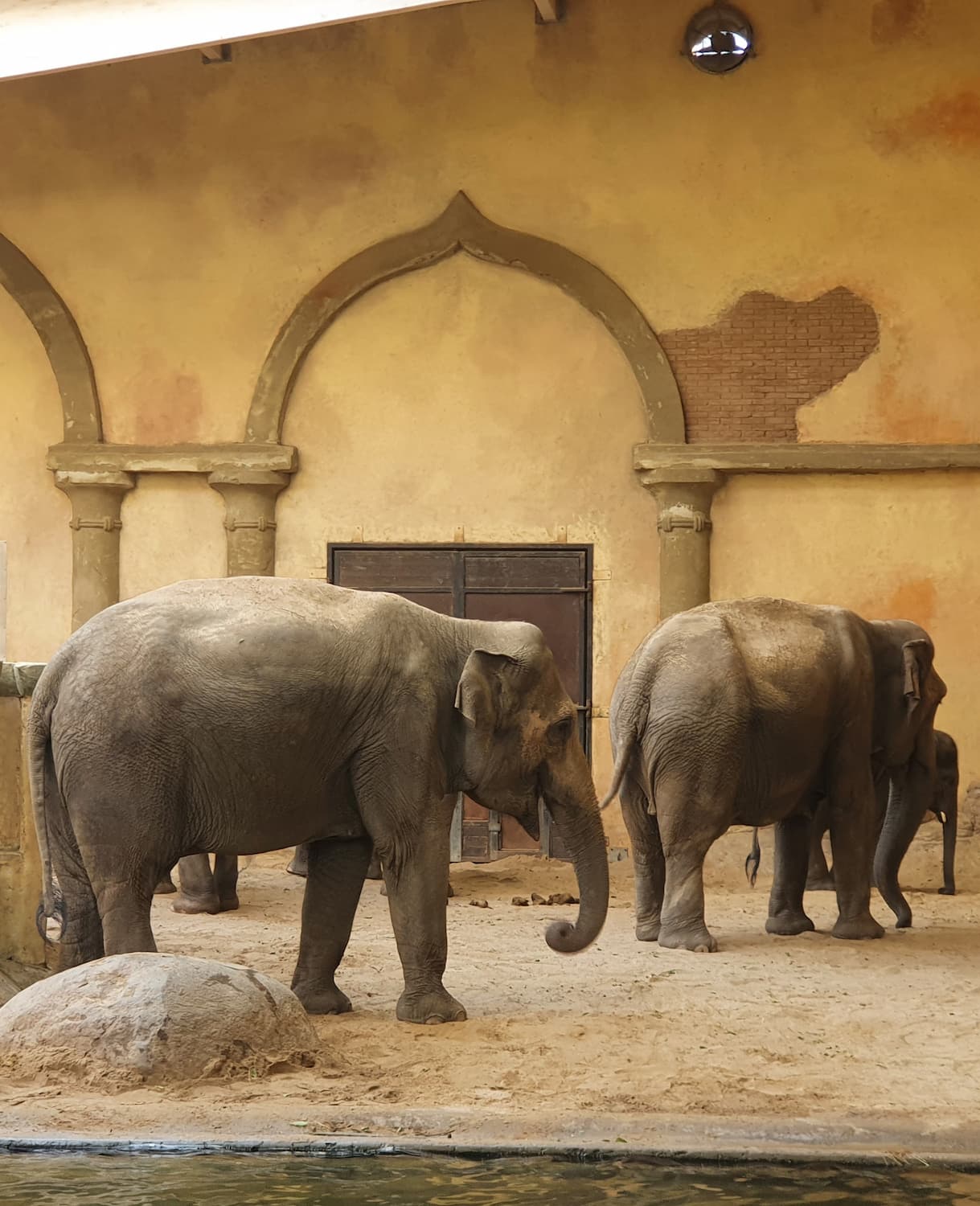 Tierpark Hagenbeck, Hamburg Tierpark Hagenbeck, Hamburg